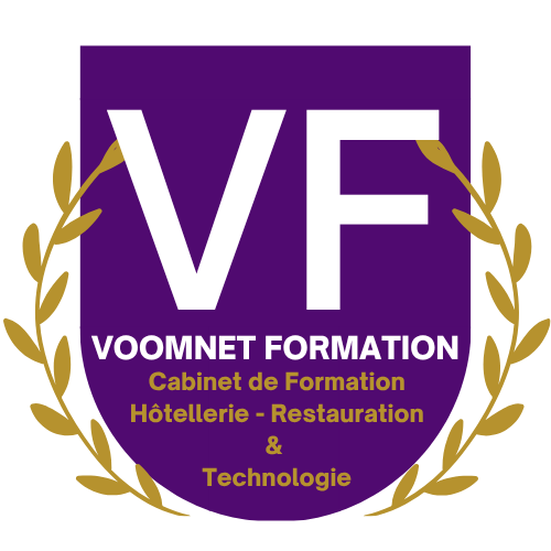 Logo Voomnet Formation